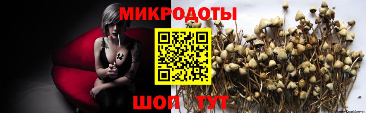 Подольск  Галлюциногенные грибы GOLDEN TEACHER  наркота  Вход с VPN 