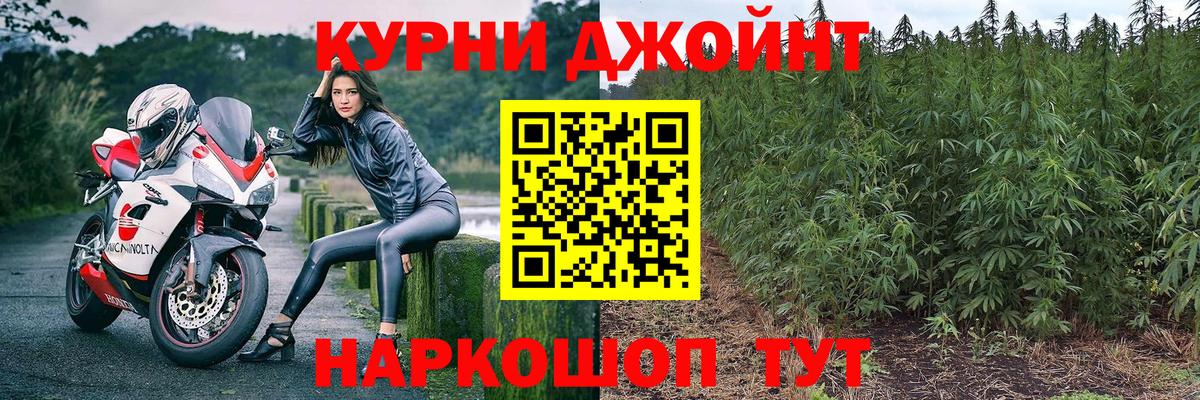 Бошки Шишки марихуана  МАРИХУАНА Bruce Banner  Конопля тримм  Вход с VPN  Подольск 